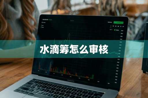水滴筹怎么审核