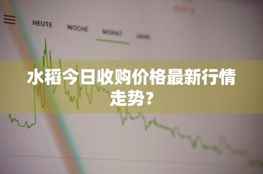 水稻今日收购价格最新行情走势？