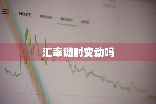 汇率随时变动吗