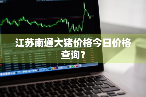 江苏南通大猪价格今日价格查询？