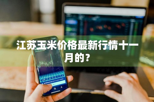 江苏玉米价格最新行情十一月的?