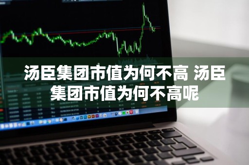 汤臣集团市值为何不高 汤臣集团市值为何不高呢