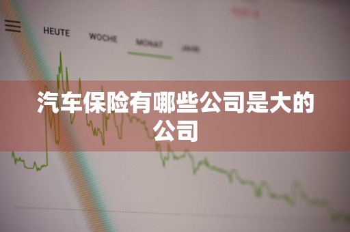 汽车保险有哪些公司是大的公司