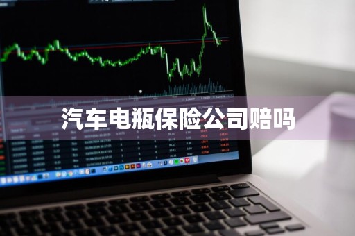 汽车电瓶保险公司赔吗