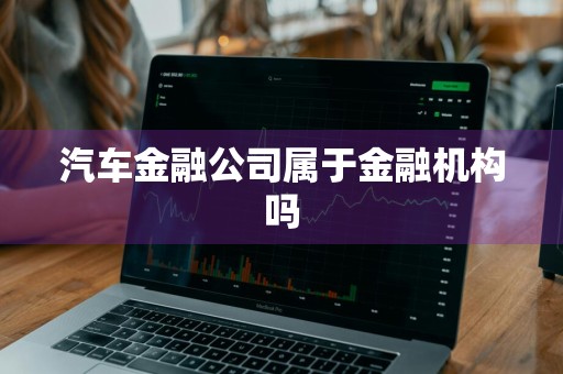 汽车金融公司属于金融机构吗