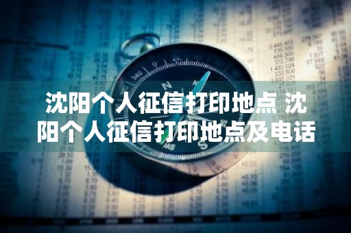 沈阳个人征信打印地点 沈阳个人征信打印地点及电话