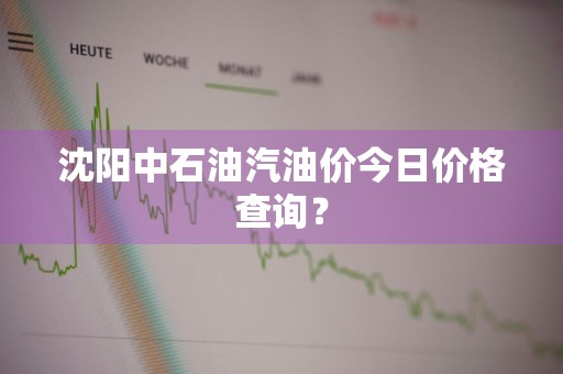 沈阳中石油汽油价今日价格查询？