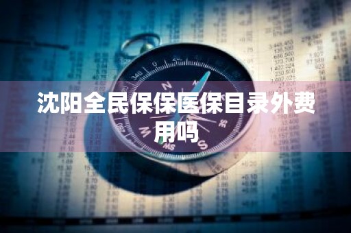 沈阳全民保保医保目录外费用吗
