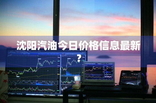 沈阳汽油今日价格信息最新？
