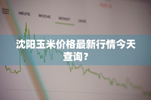沈阳玉米价格最新行情今天查询？
