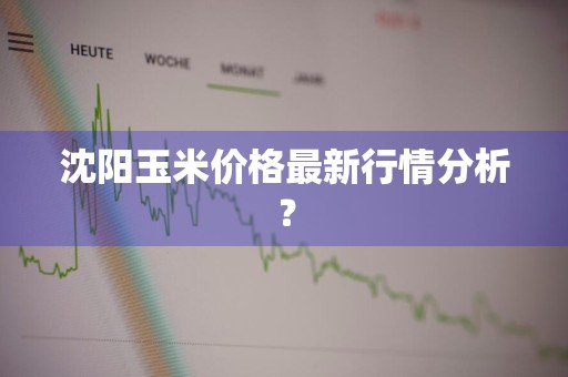 沈阳玉米价格最新行情分析？