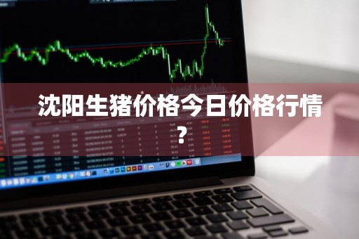 沈阳生猪价格今日价格行情？