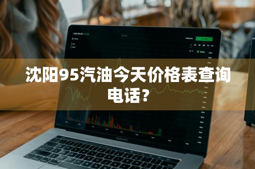 沈阳95汽油今天价格表查询电话？