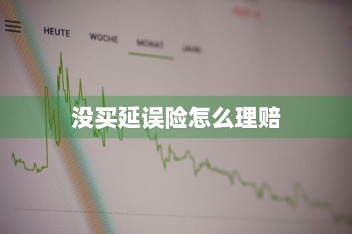 没买延误险怎么理赔