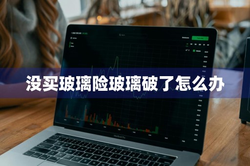 没买玻璃险玻璃破了怎么办