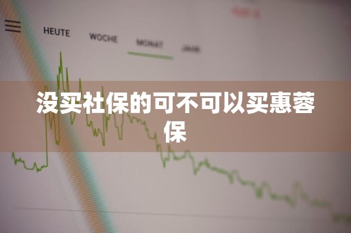 没买社保的可不可以买惠蓉保