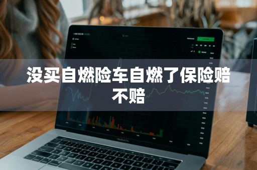 没买自燃险车自燃了保险赔不赔
