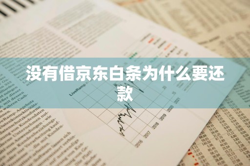 没有借京东白条为什么要还款
