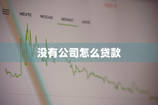 没有公司怎么贷款