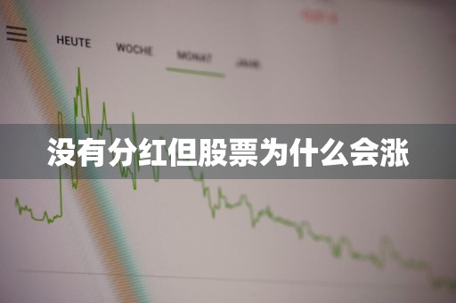 没有分红但股票为什么会涨
