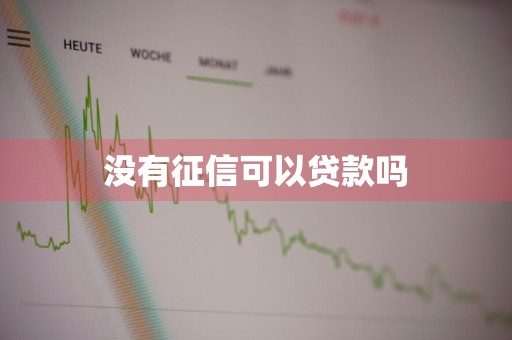 没有征信可以贷款吗