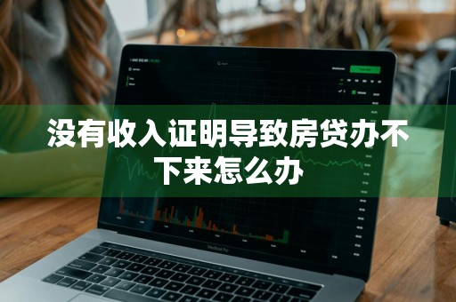 没有收入证明导致房贷办不下来怎么办