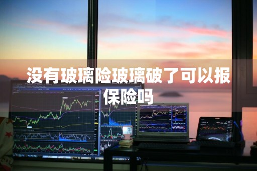 没有玻璃险玻璃破了可以报保险吗