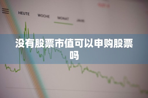 没有股票市值可以申购股票吗