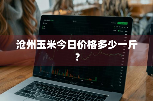 沧州玉米今日价格多少一斤？