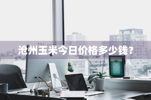 沧州玉米今日价格多少钱？