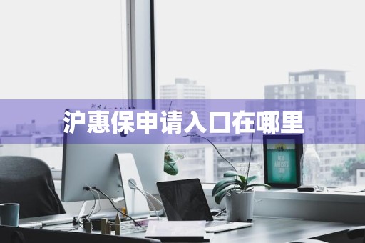 沪惠保申请入口在哪里