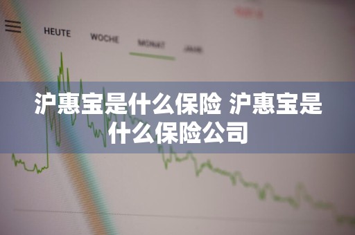 沪惠宝是什么保险 沪惠宝是什么保险公司