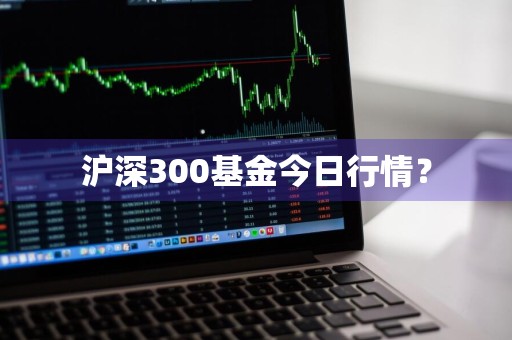 沪深300基金今日行情？