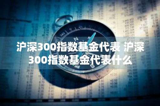 沪深300指数基金代表 沪深300指数基金代表什么