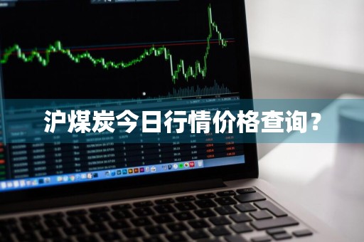 沪煤炭今日行情价格查询？
