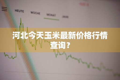 河北今天玉米最新价格行情查询？