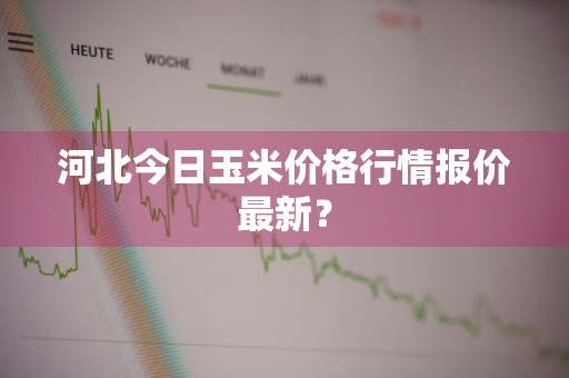 河北今日玉米价格行情报价最新？