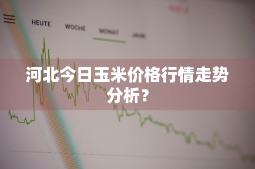 河北今日玉米价格行情走势分析？