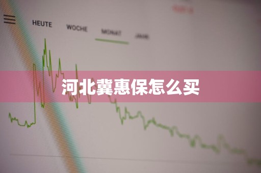 河北冀惠保怎么买