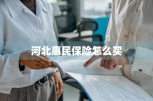 河北惠民保险怎么买