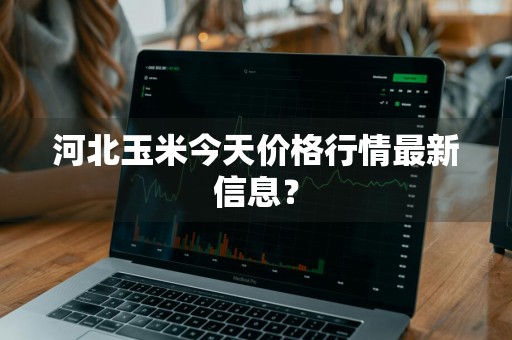 河北玉米今天价格行情最新信息？