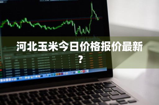 河北玉米今日价格报价最新？