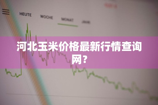河北玉米价格最新行情查询网?