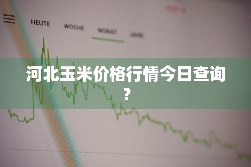 河北玉米价格行情今日查询？