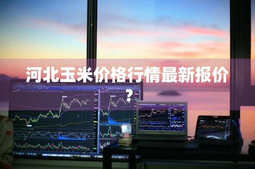 河北玉米价格行情最新报价？