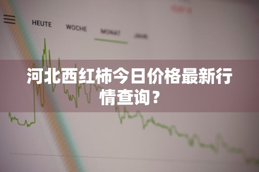 河北西红柿今日价格最新行情查询？