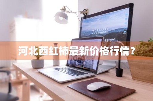 河北西红柿最新价格行情？