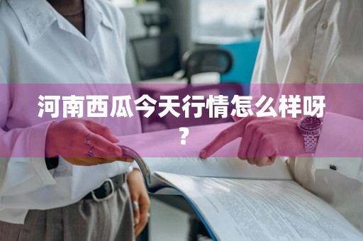 河南西瓜今天行情怎么样呀？