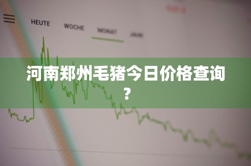 河南郑州毛猪今日价格查询？