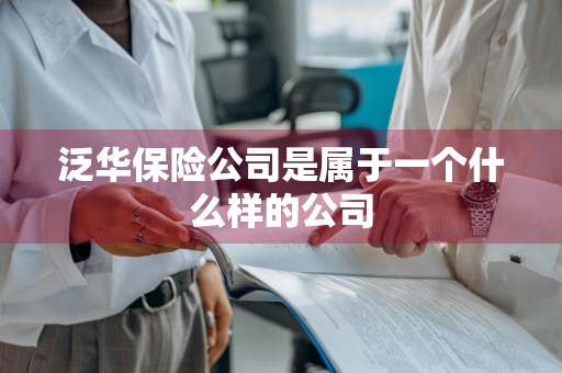 泛华保险公司是属于一个什么样的公司
